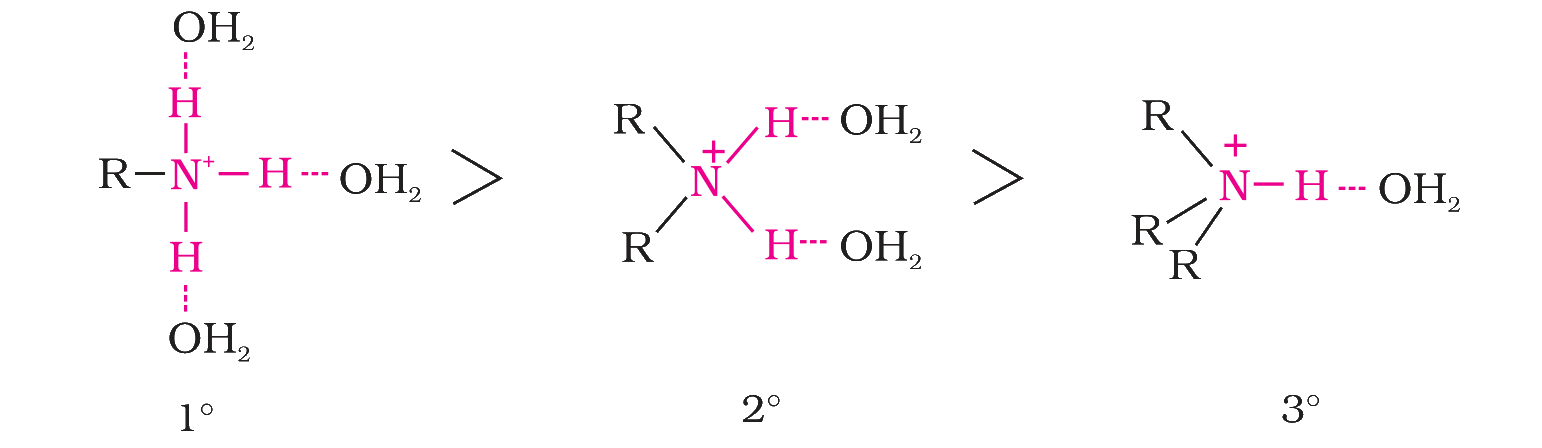 Substituted ammonium ions in water