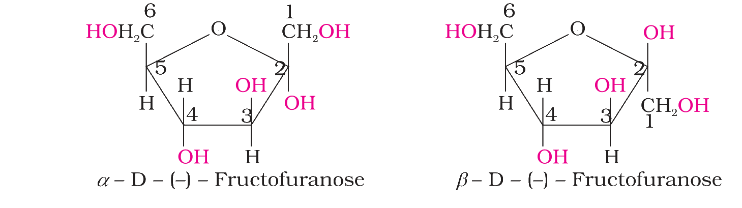 Haworth structures of alpha- and beta-D-(-)-fructofuranose