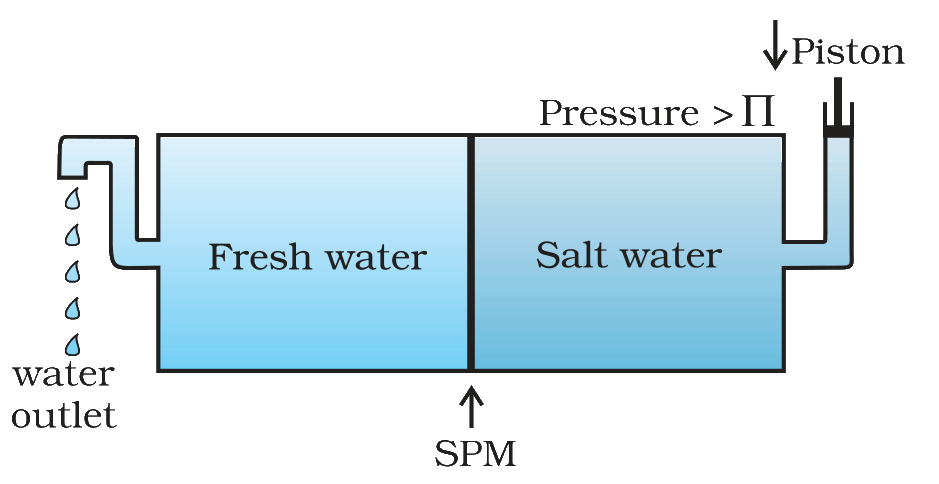 Reverse osmosis set-up