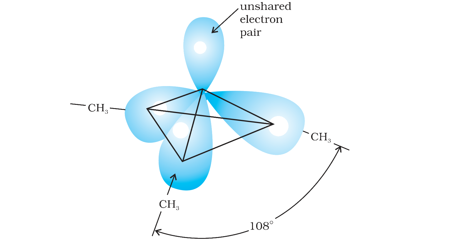 Fig. 9.1 Pyramidal shape of trimethylamine