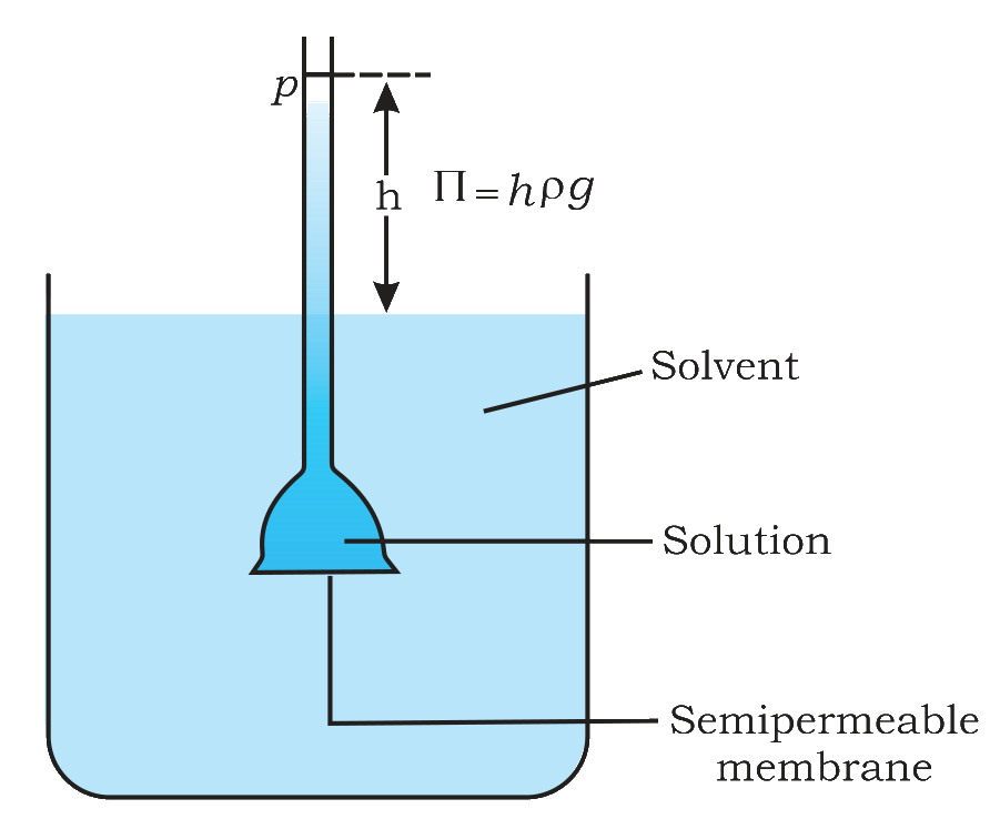 Thistle funnel set-up with solvent, solution and semipermeable membrane