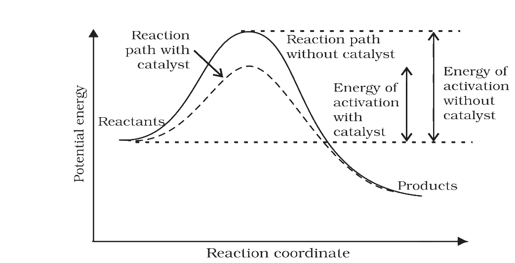Fig. 3.11 Effect of catalyst on activation energy