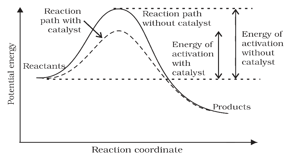 Potential energy against reaction coordinate with and without a catalyst