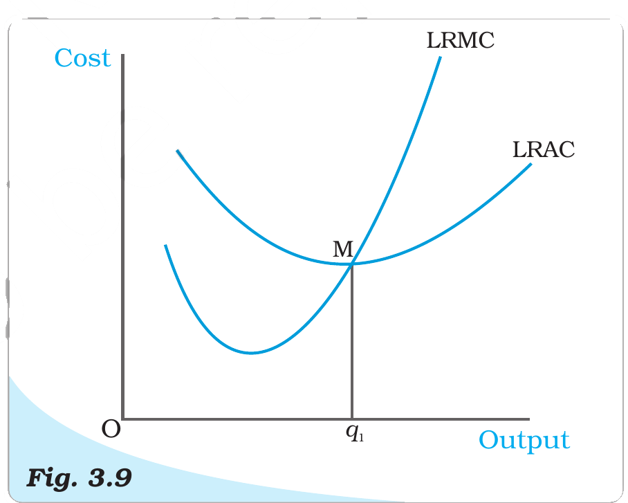 NCERT extract
