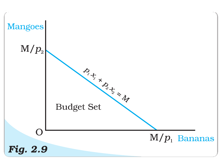 NCERT extract