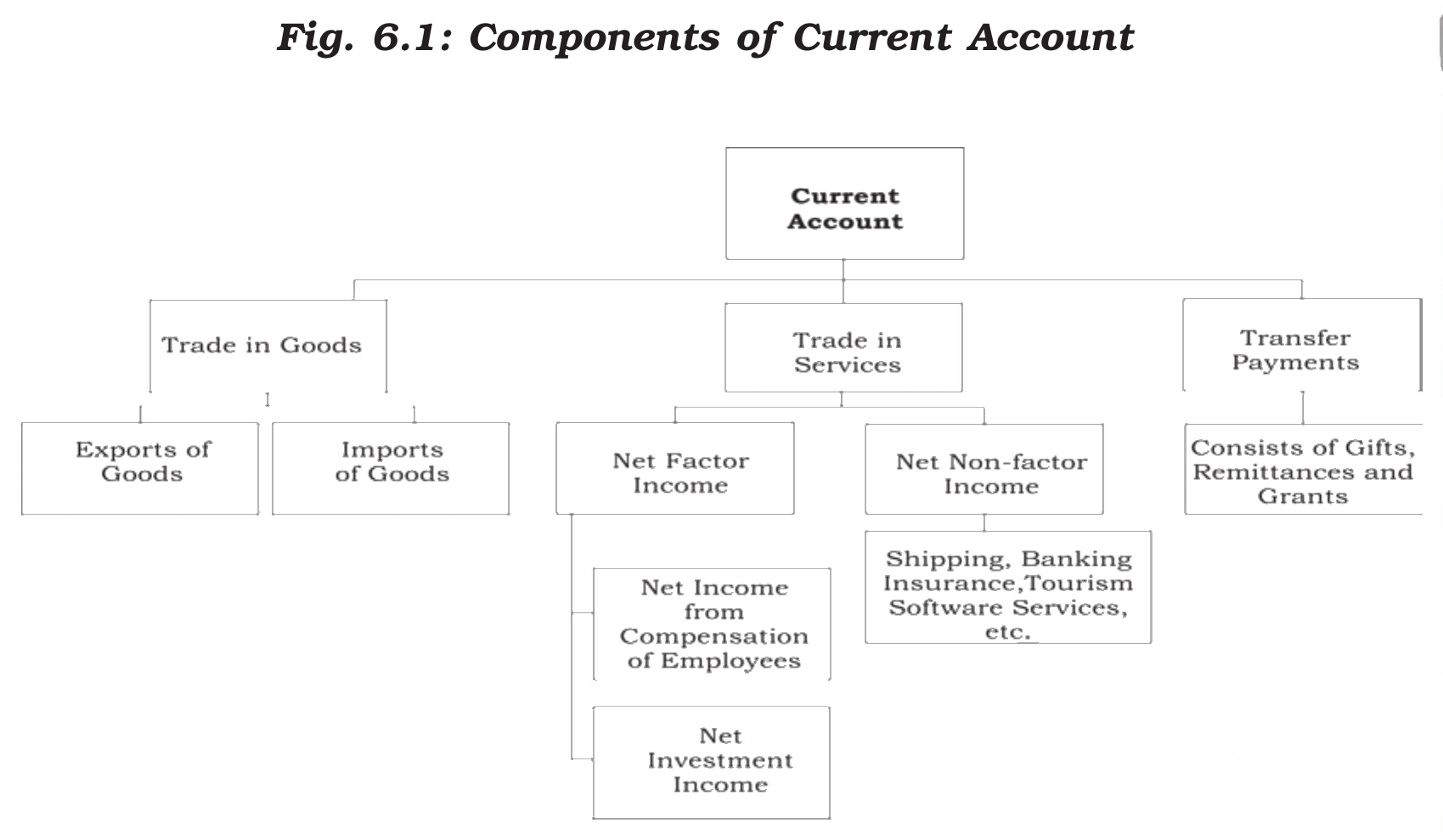 NCERT extract