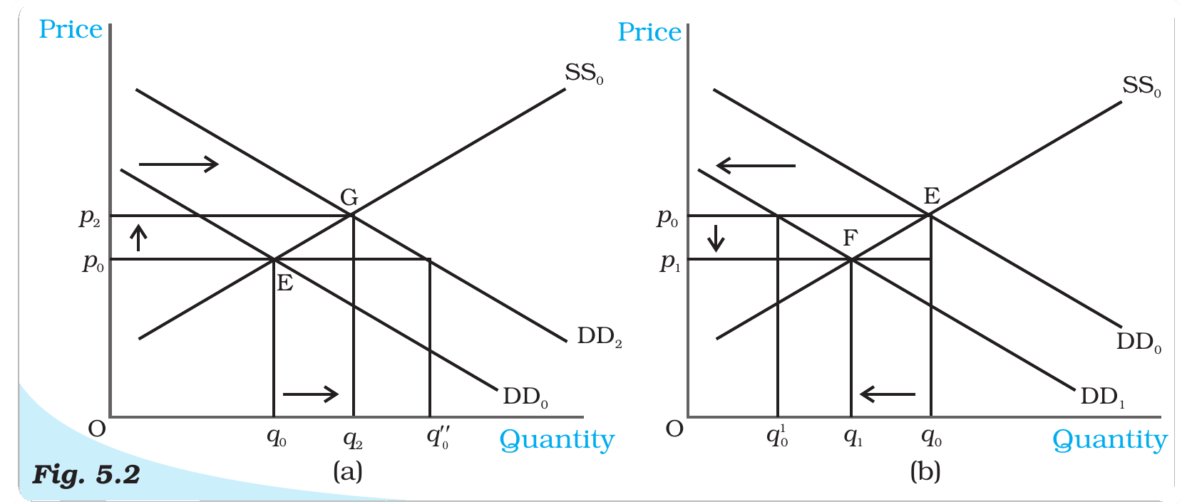 NCERT extract