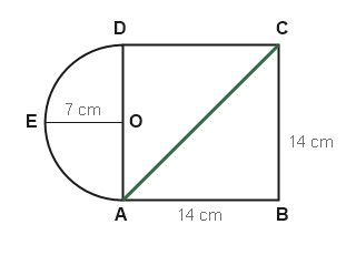 Figure for the solution