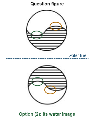 Figure for the solution