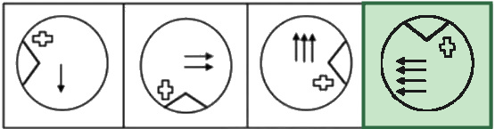 Figure for the solution