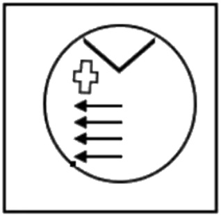 Option 3