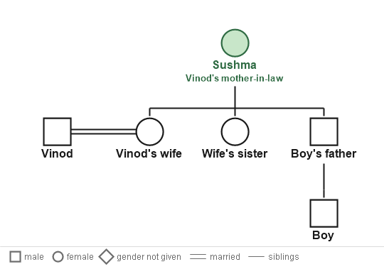 Figure for the solution