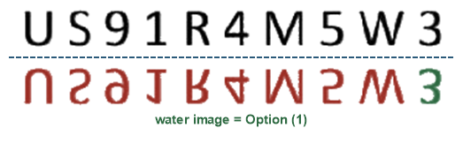 Figure for the solution