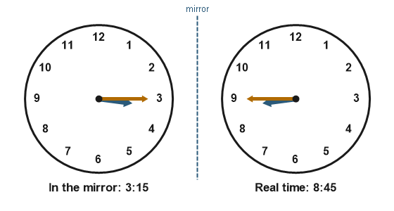 Figure for the solution
