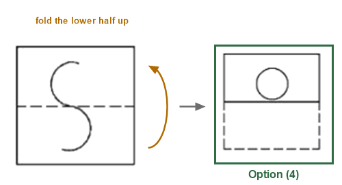 Figure for the solution