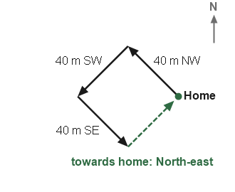 Figure for the solution