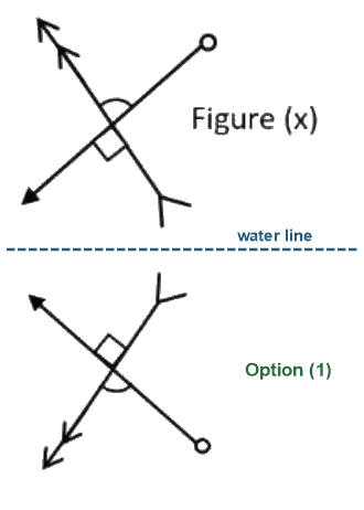 Figure for the solution