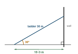 Figure for the solution