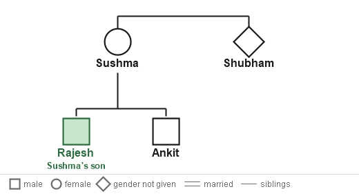 Figure for the solution