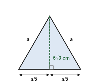 Figure for the solution