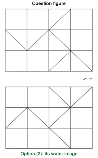 Figure for the solution