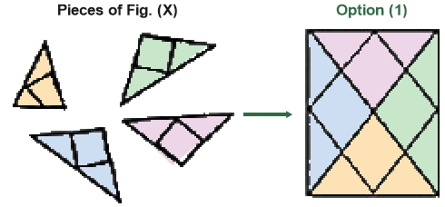 Figure for the solution