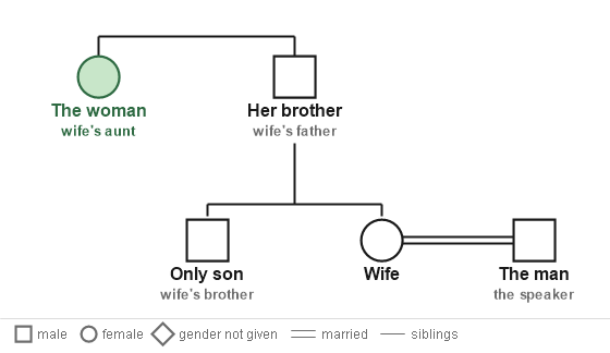 Figure for the solution