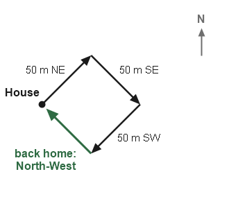 Figure for the solution