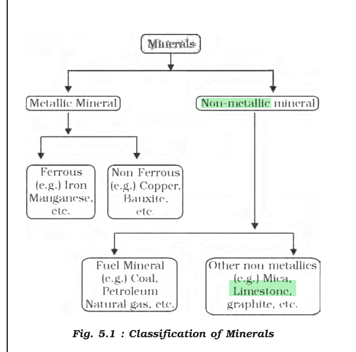 NCERT extract