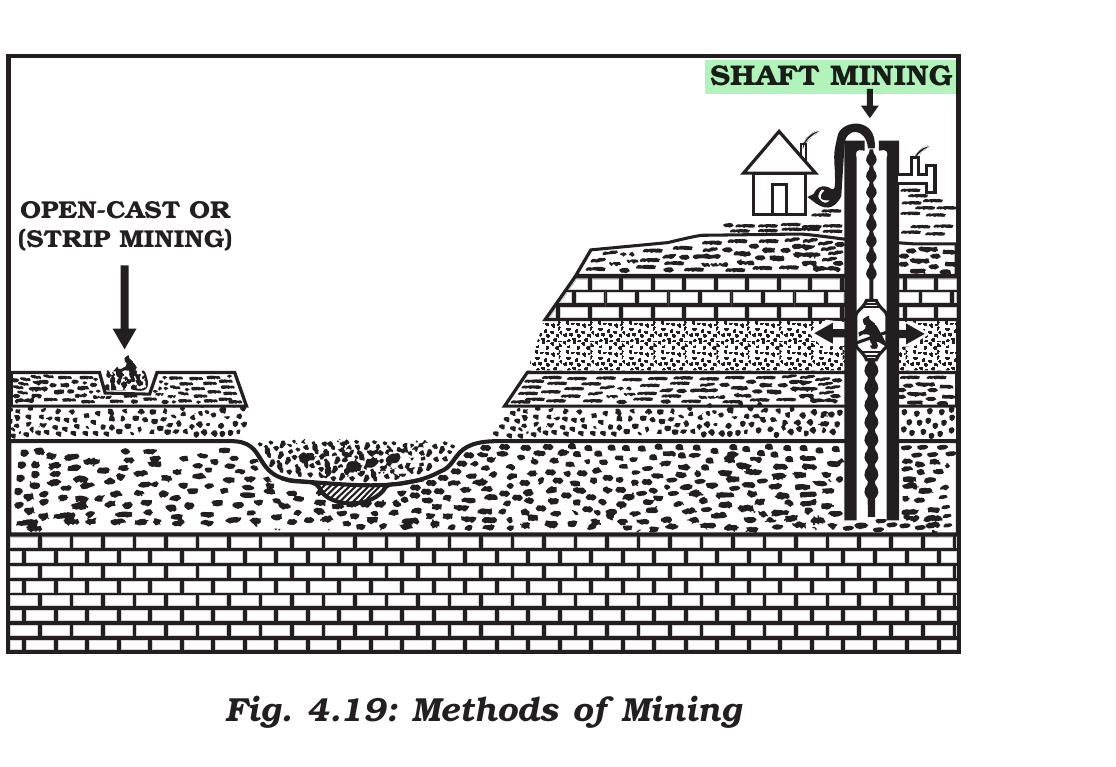 NCERT extract
