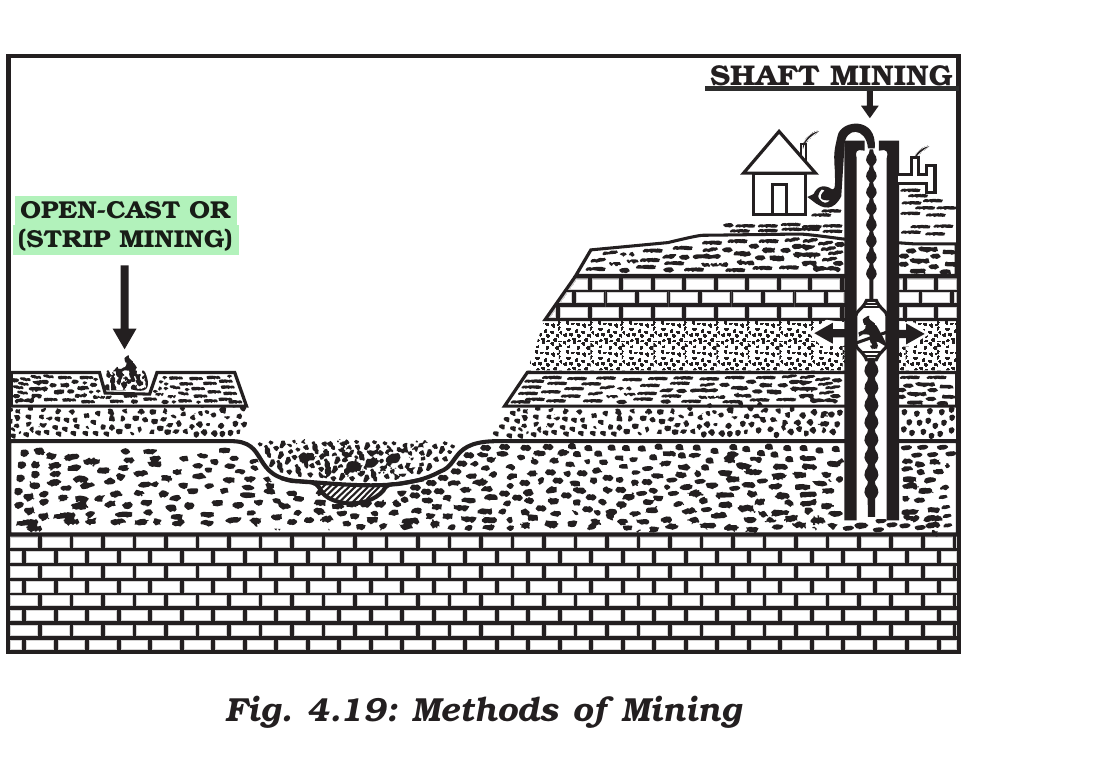 NCERT extract