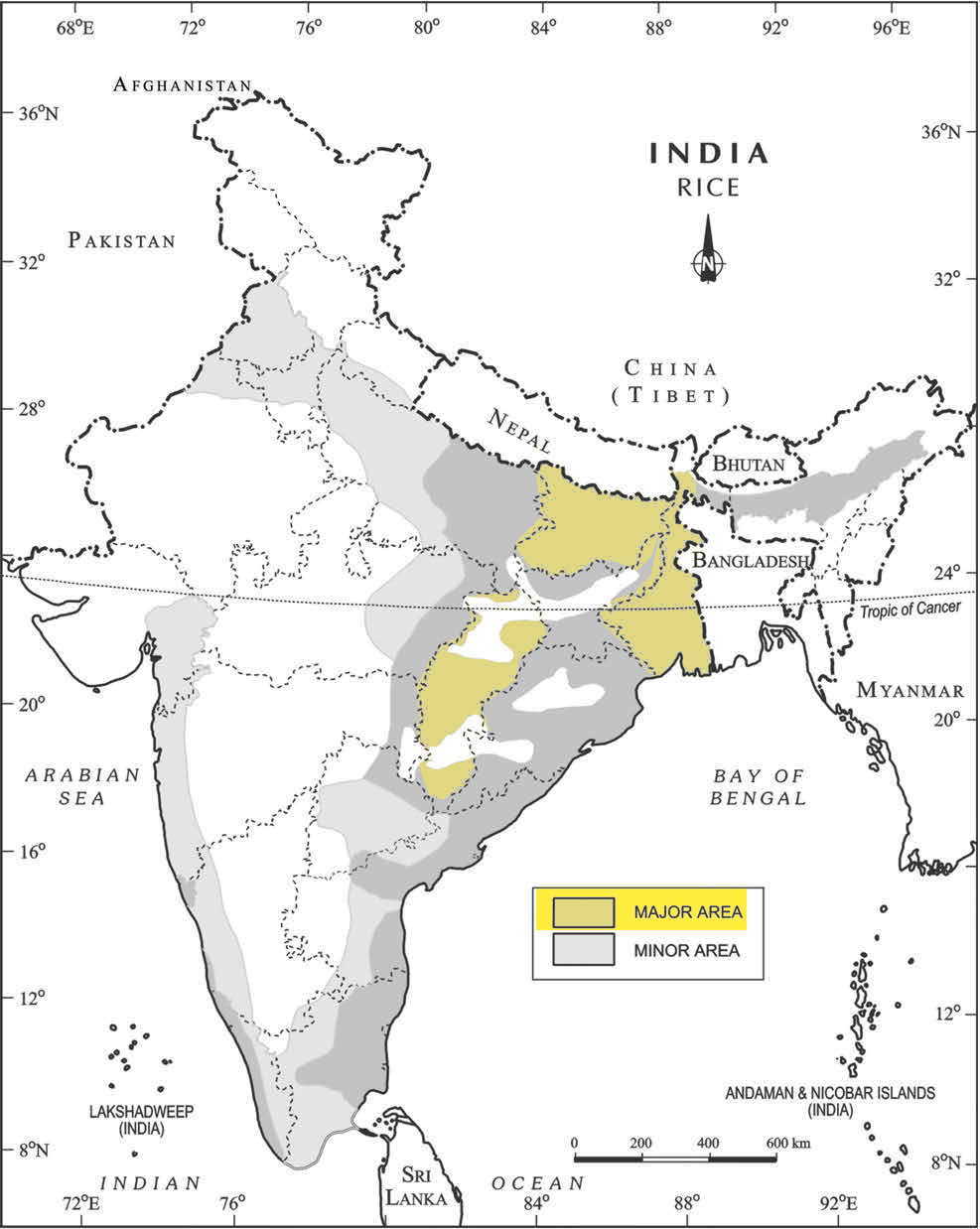 NCERT extract