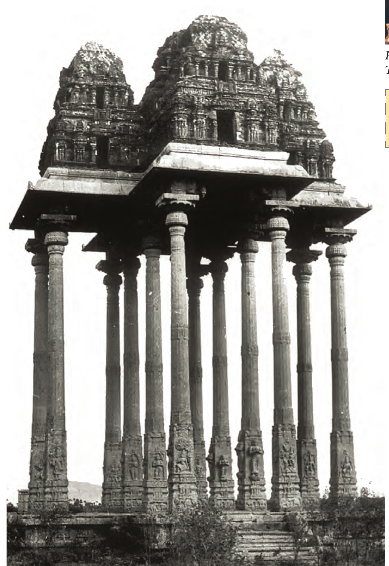 NCERT extract