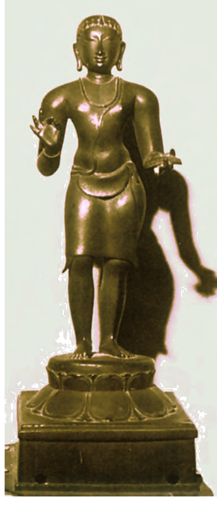 NCERT extract