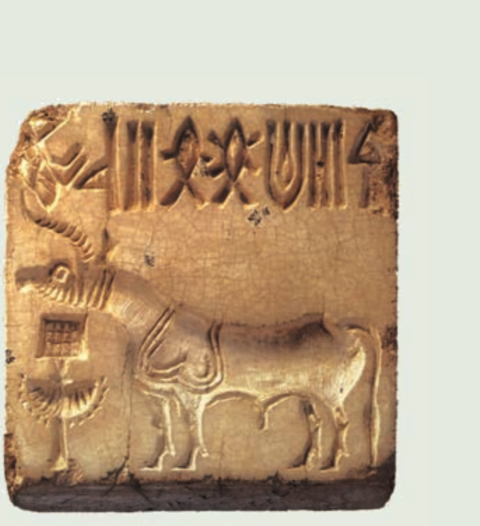 NCERT extract