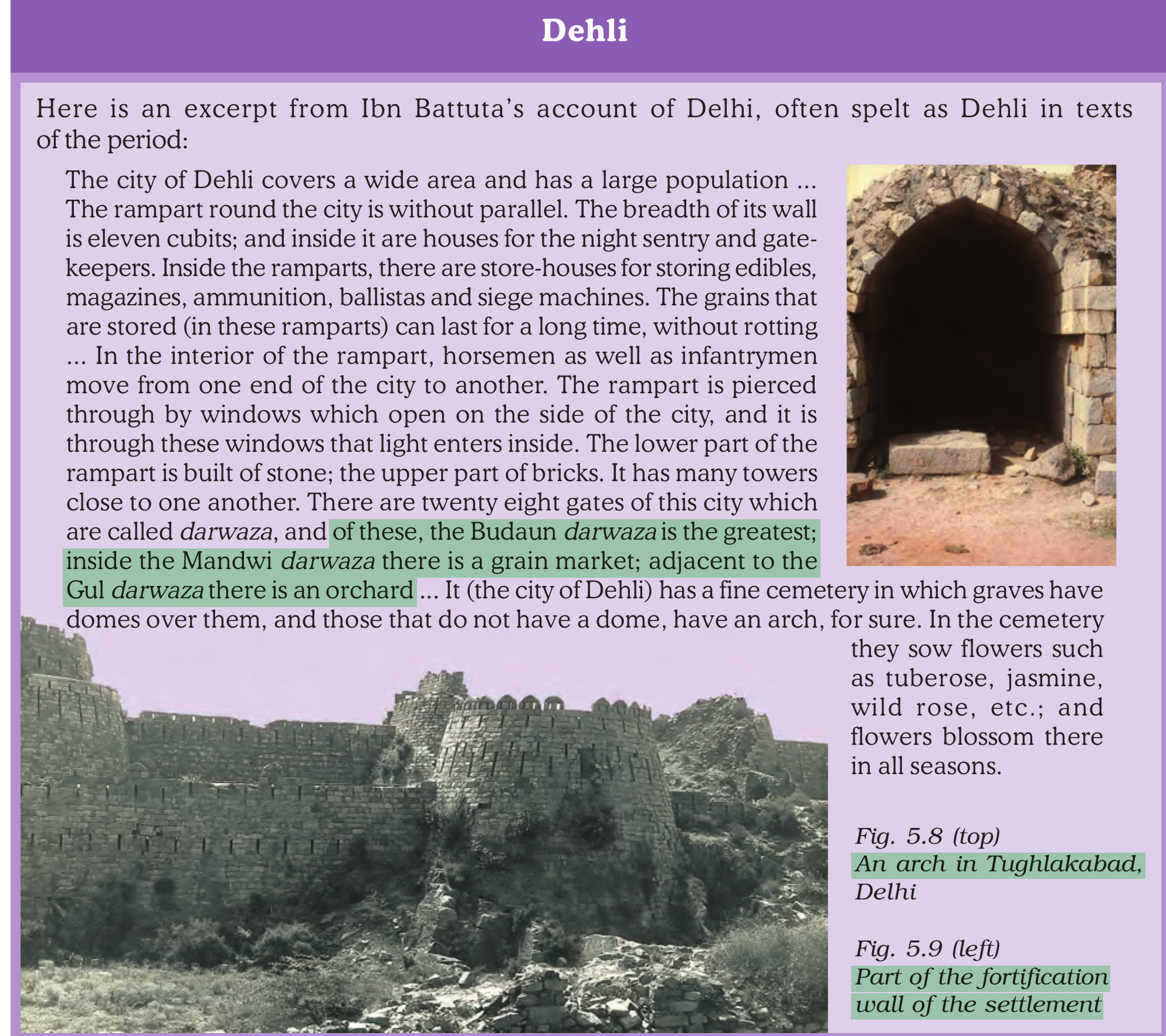 NCERT extract