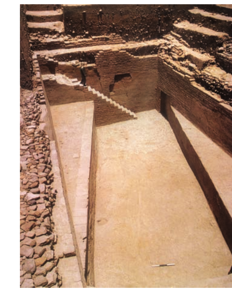 NCERT extract