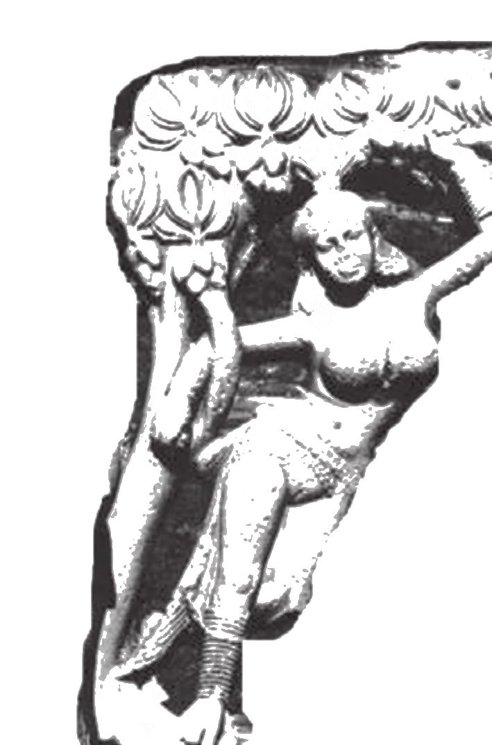 NCERT extract