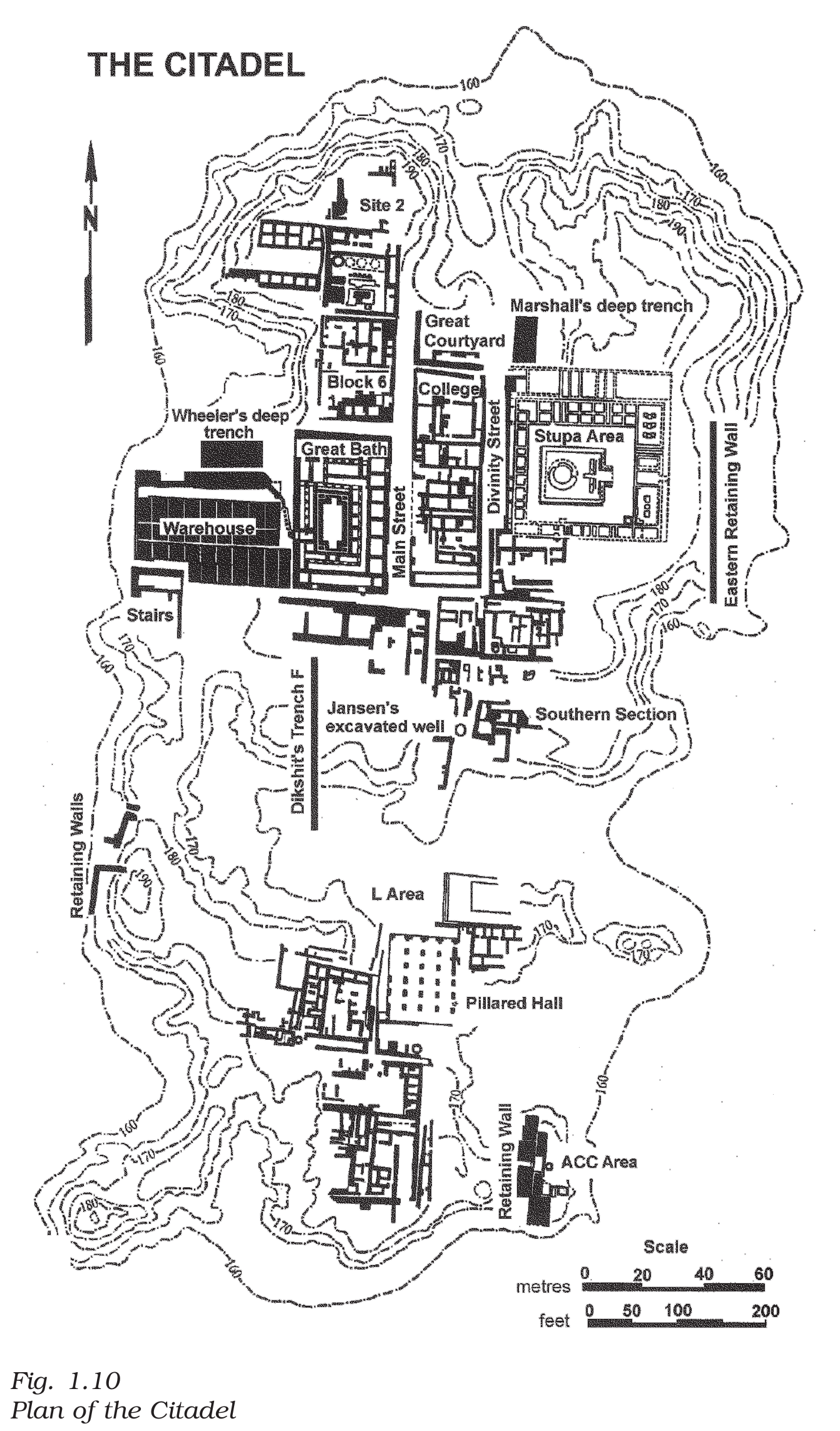 NCERT extract