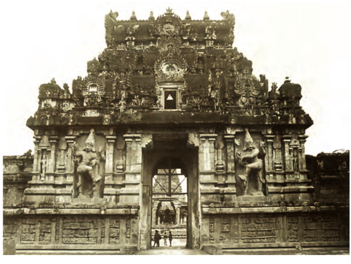 NCERT extract
