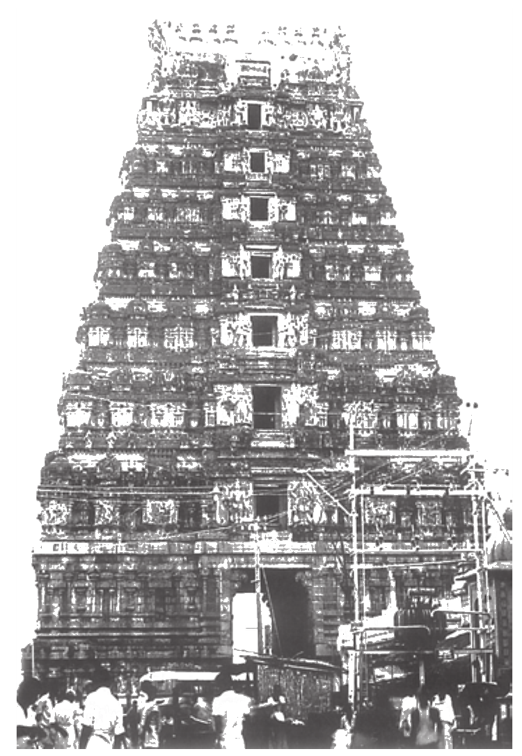 NCERT extract