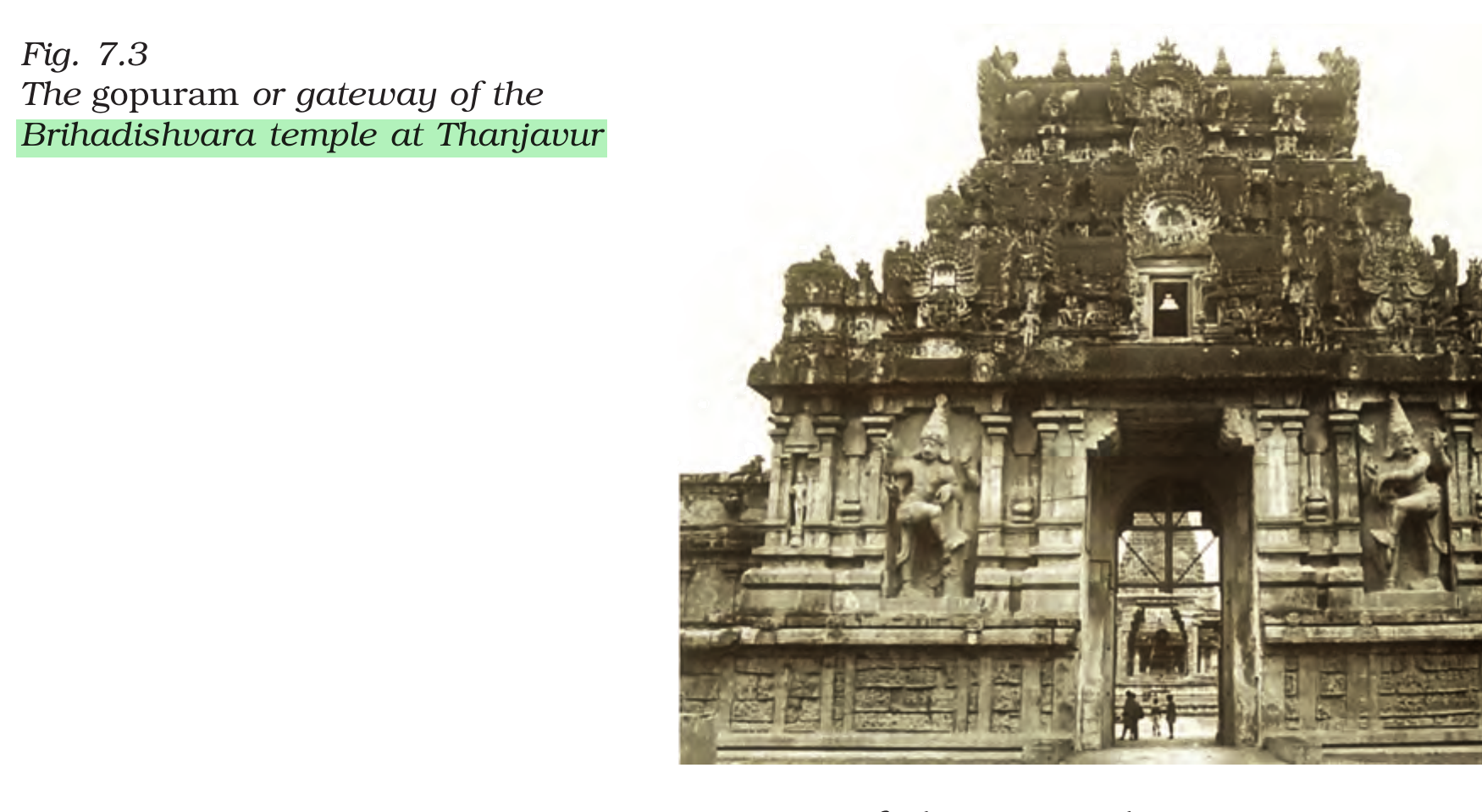 NCERT extract