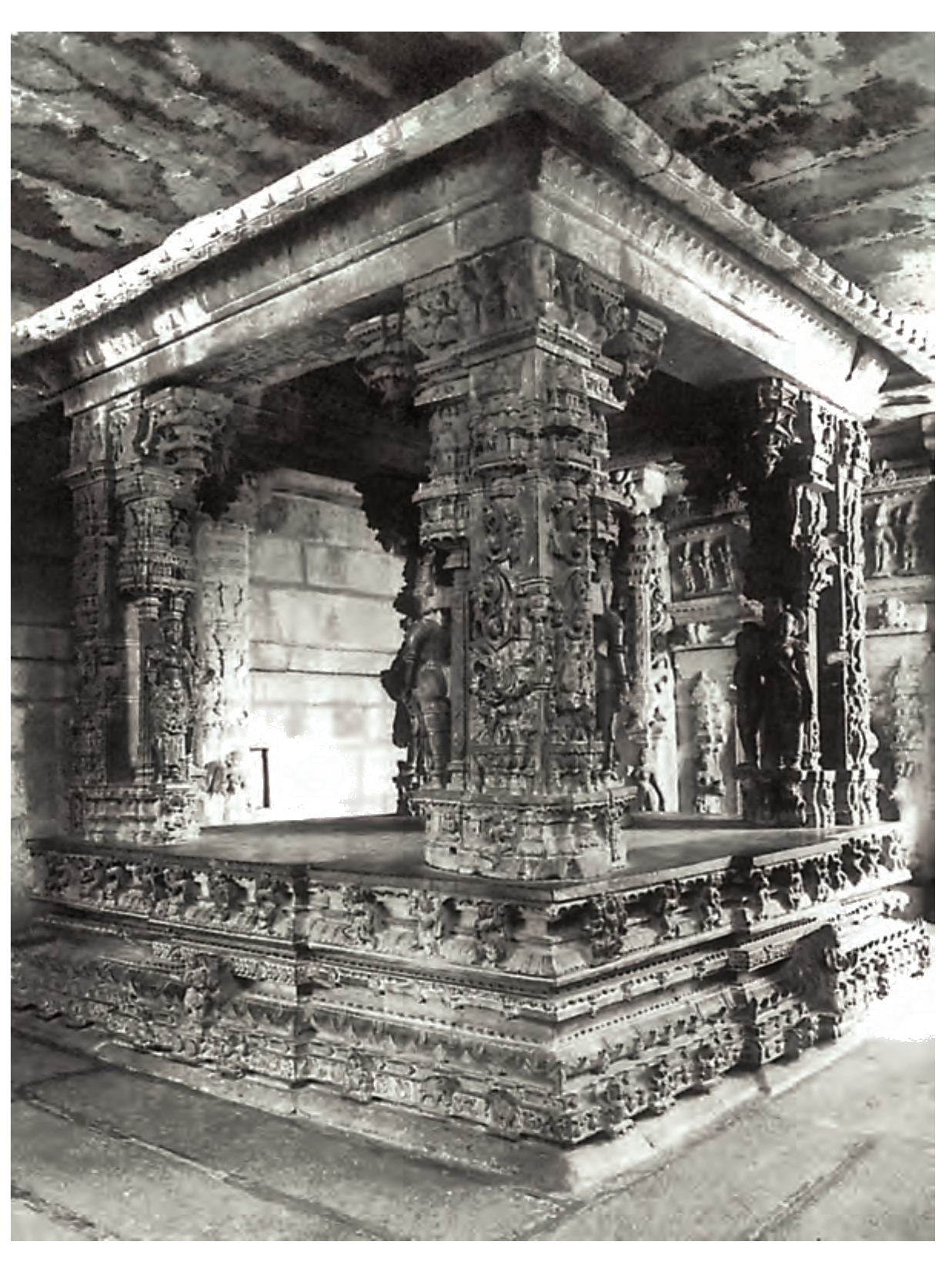 NCERT extract