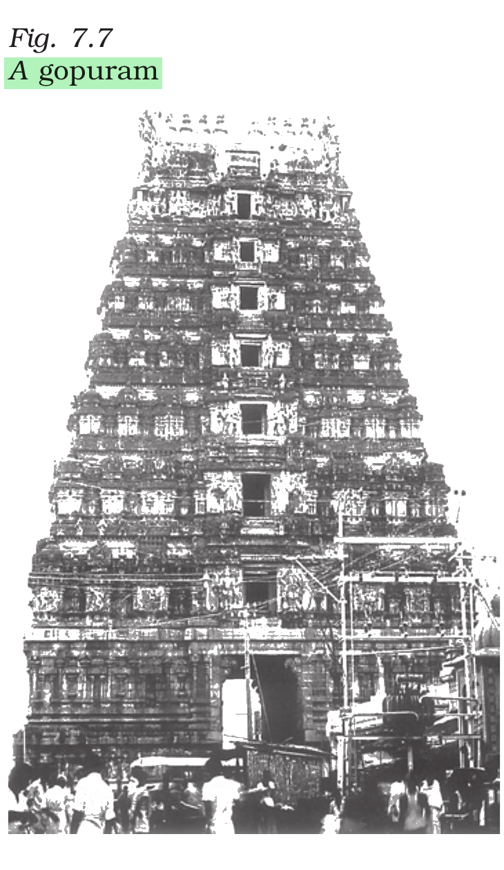 NCERT extract
