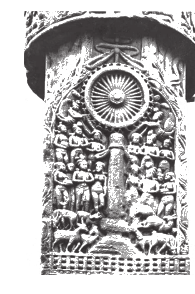 NCERT extract