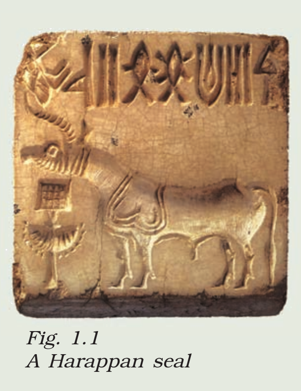 NCERT extract