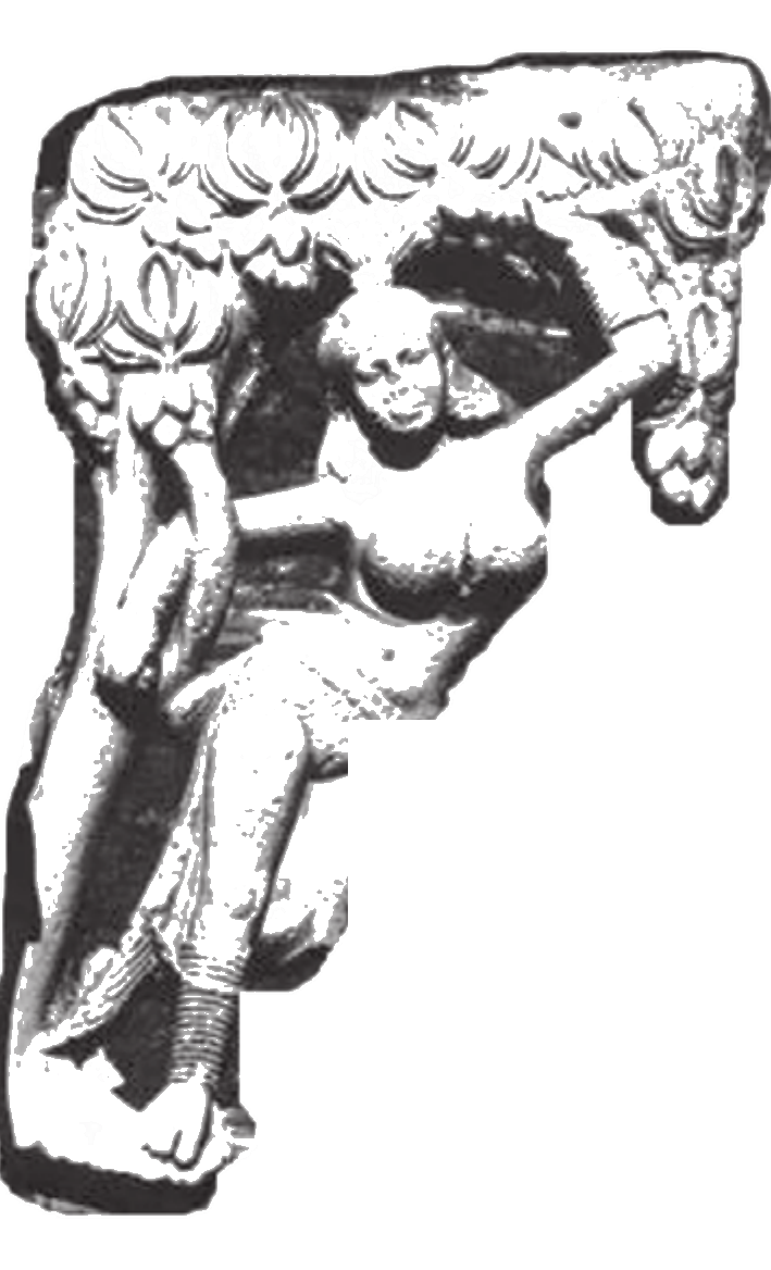 NCERT extract