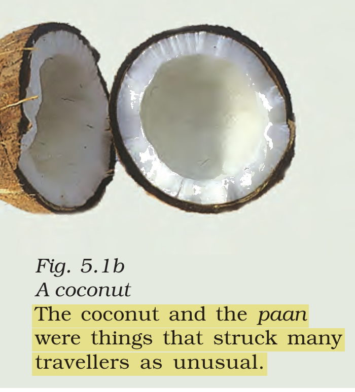 NCERT extract