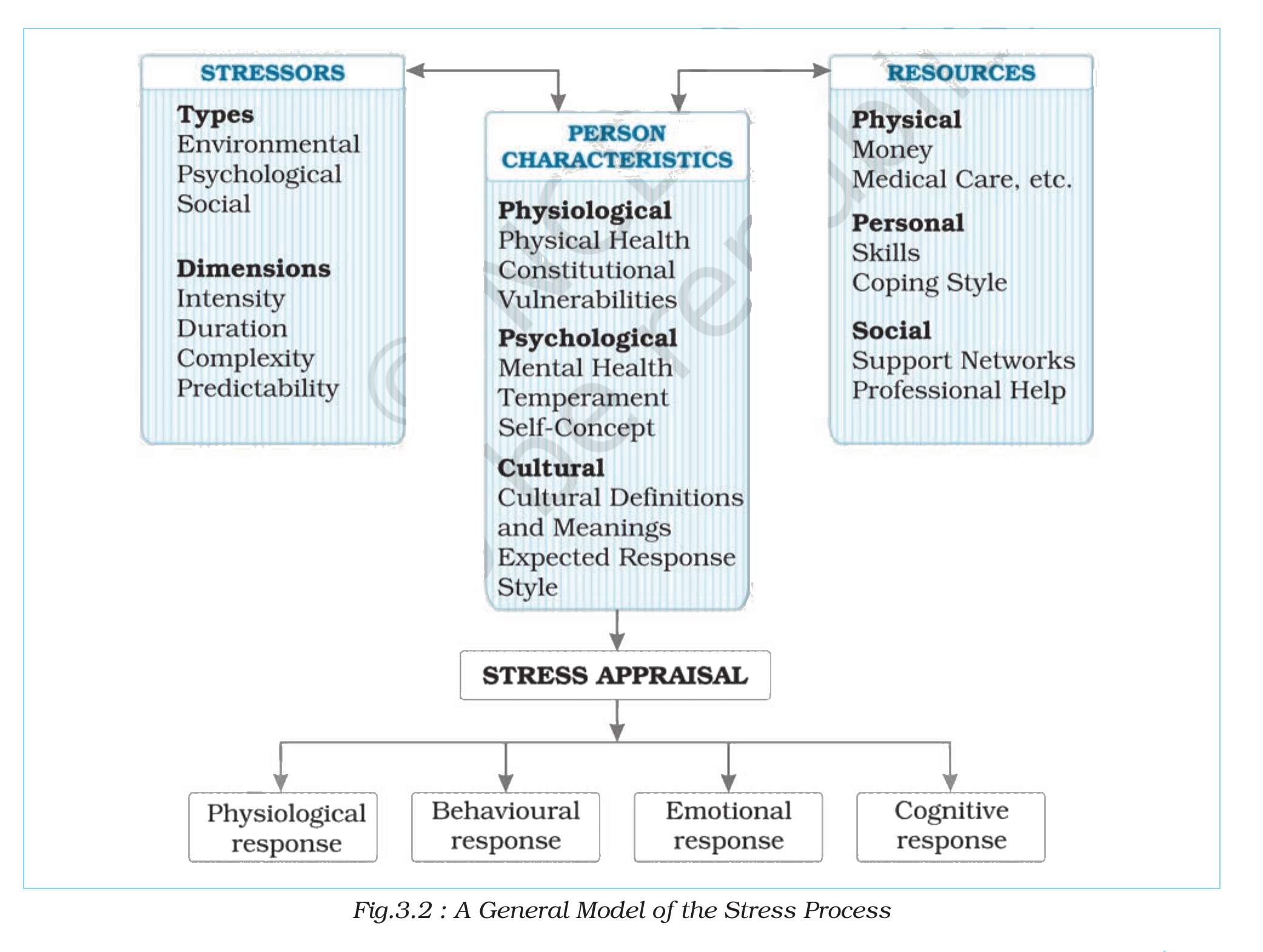 NCERT extract
