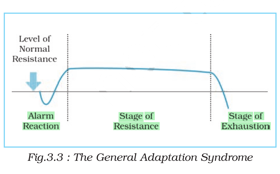 NCERT extract